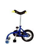 Training Unicycle