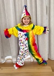 Clown Costume - Medium