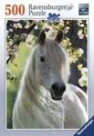 500 piece Puzzle - Equestrian Spring