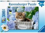 300 piece Puzzle - Tortoiseshell Kitty