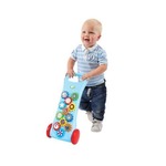 Busy Gear Push Along