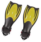 Flippers
