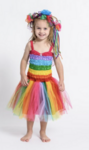 Friendship Fairy Dress Up - Small