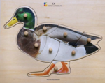 Duck Puzzle