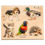 Animals Inset Board