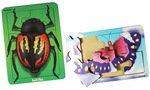 2 Insect Puzzles