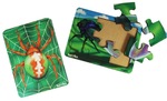 2 Insect Puzzles