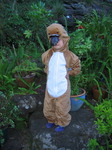 Platypus Dress Up - Medium