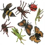 Insect Set
