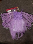 Butterfly Fairy Costume
