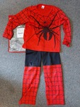 Spider Boy Costume (Large)