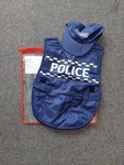 Police Costume