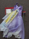 Purple Chiffon Butterfly Dress