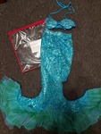 Mermaid Costume