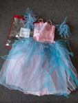 Swan Fairy Pink Dress (Smaill)