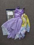 Purple Butterfly Dress (Small)