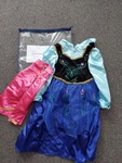 Anna Frozen Dress (Small)