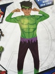 Avengers Hulk Costume