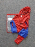 Spiderboy Costume