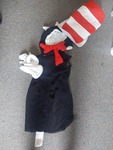 Cat & Cat in the Hat Costume
