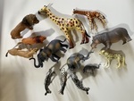 African Animals