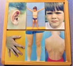 BODY PARTS MATCHING TRAY