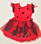 LADYBIRD DRESS-UP OUTFIT (Size 3-5)