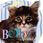 BABY ANIMALS