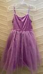 Purple princess dress