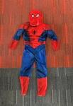 Spiderman Costume