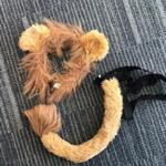 Lion Top and Tail Dress Up