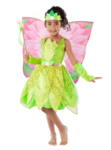 Frog Princess Costume, size 3-4
