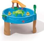 Duck pond water table
