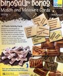 Dinosaur Bones Match and Measure Set