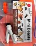 Minibeasts Butterfly Lifecycle Kit