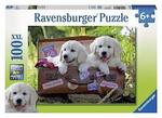 Ravensburger Puzzle 105380 Puppies in Suitcase