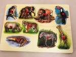 Safari Animals Puzzle