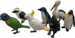 Australian Birds 