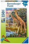 PD033: Giraffes in Africa