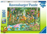 PD036: Rainforest River Band