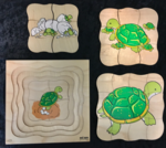 life cycle Layer Puzzle- Turtle 