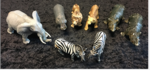 Wild Animal set 