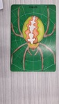 TUZZLES spider web puzzle