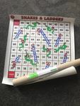 P802: GIANT Snakes and Ladders Game 