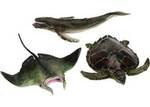 205: Large Sea Animal Set Turtle