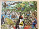 NZ Wildlife Puzzle