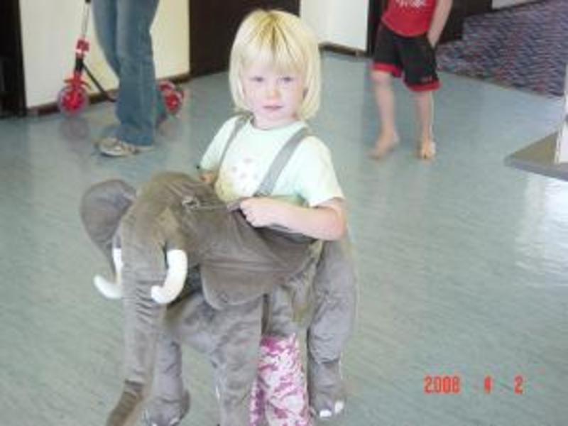 101: Wrap and Ride Elephant