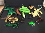 Creepy Crawly Reptile Set