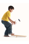 G2.263.3: STEP AND CATCH