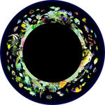 OPTI Effects Wheel Insert- Coral Reef